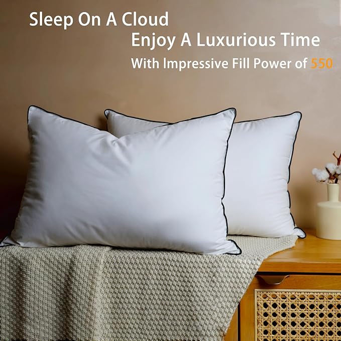 Natural Goose Down Pillows - White Down Pillow Queen Size - 550 Fill Power - Soft and Support Down Bed Pillow for Back,Side,Stomach Sleepers,1 Pack (20" x 28")
