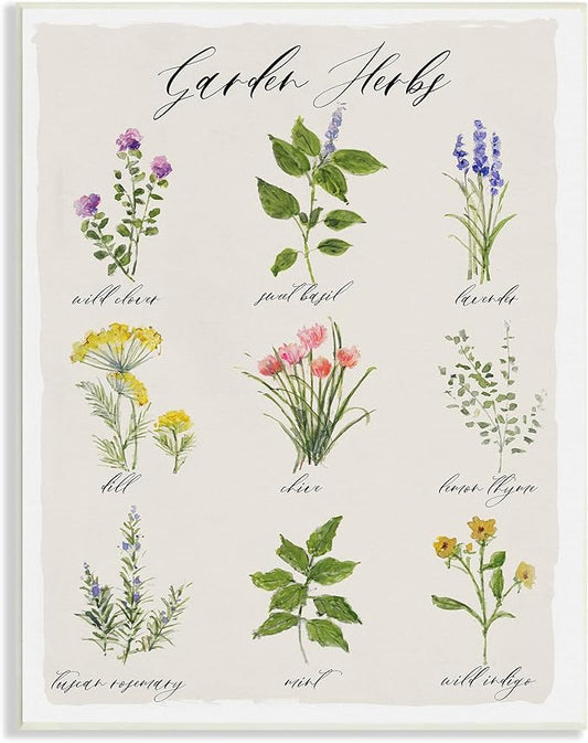 Stupell Industries Garden Herb Illustrated Chart Natural Kitchen Seasoning Wall Plaque, 13 x 19, Beige
