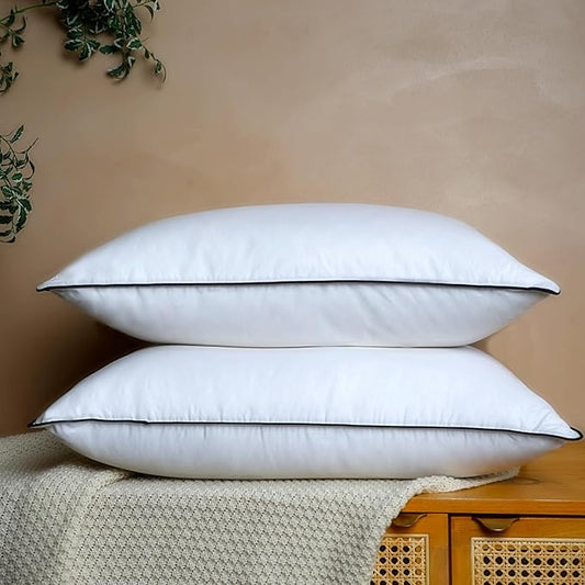 Natural White Goose Down Pillows- 550 Fill Power Down Pillow Queen Size - Soft and Support Down Bed Pillow for Back,Side,Stomach Sleepers,Queen (2 Pack ,20" x 28")