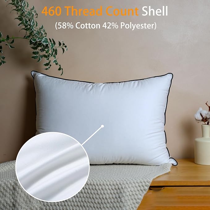 Natural Goose Down Pillows - White Down Pillow Standard Size - 550 Fill Power - Soft and Support Down Bed Pillow for Back,Side,Stomach Sleepers,2 Pack (20" x 26")