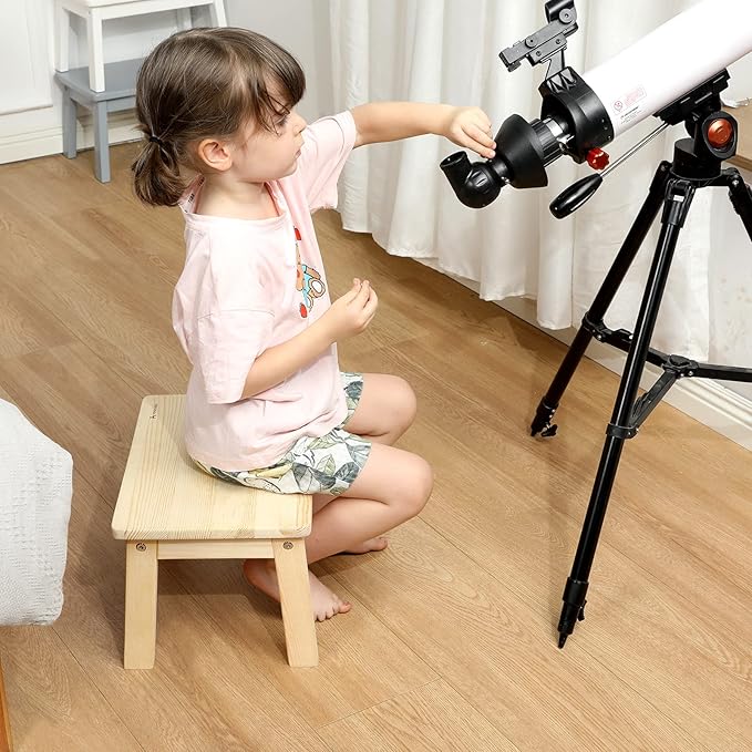 HOUCHICS Wooden Step Stool for Kids,Solid Birch for Kitchen Bedroom Living Room Bathroom Toilet Nursery Toddlers Potty Training Stool with Non-Slip Pads and 220lb Load Capacity (Natural