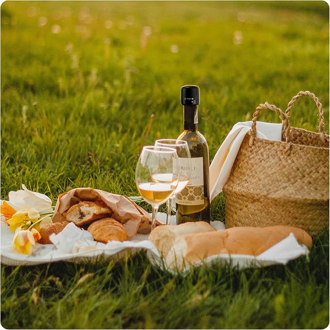 Wine Stoppers for Wine Bottles Set of 2, Leak-Proof Wine Saver, Reusable Wine Cork Cap, Wine Bottle Sealer for Parties, Ideal Gift for Wine Lover (Black)