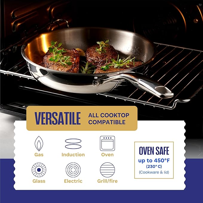 Legend 5 Ply Stainless Steel Cookware Set - 14-Piece, Full Clad, Induction, Non-Toxic, Oven Safe, Best Professional Pots and Pans, Heavy Premium Kitchen Cooking, Chef Quality - PFOA, PTFE & PFOS Free