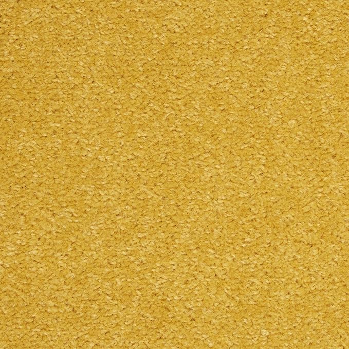 Nourison Essentials Indoor/Outdoor Yellow 6' x Round Area Rug, Easy Cleaning, Non Shedding, Bed Room, Living Room, Dining Room, Backyard, Deck, Patio (6 Round)