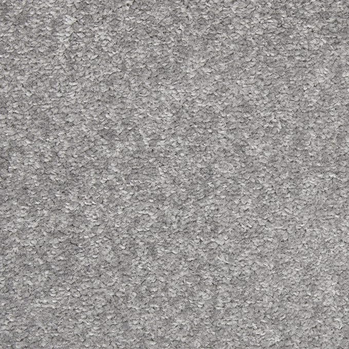 Nourison Essentials Solid Contemporary Silver Grey 4' Round Area Rug , 4' X Round
