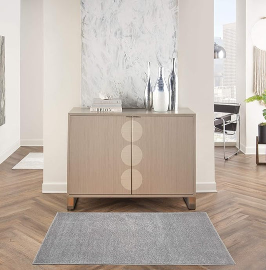 Nourison Essentials Indoor/Outdoor Silver Grey 3' x 5' Area Rug, Easy Cleaning, Non Shedding, Bed Room, Living Room, Dining Room, Backyard, Deck, Patio (3x5)