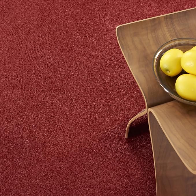 Nourison Essentials Indoor/Outdoor Brick Red 6' x 9' Area Rug, Easy Cleaning, Non Shedding, Bed Room, Living Room, Dining Room, Backyard, Deck, Patio (6x9)