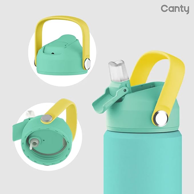 Canty Stainless Steel Water Bottle with Straw, Anti-Slip Base and Giftable Full Colored Box, Great for Travel (Thistle Pink, 12 Oz)
