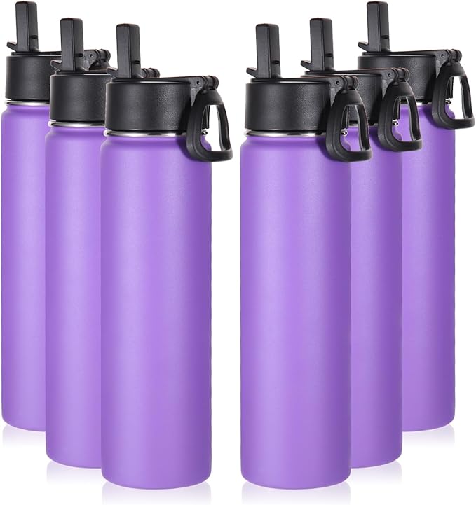 Volhoply 24oz Insulated Water Bottle With Straw Bulk 6 Pack,Metal Wide Mouth Water Bottles With Handle Lid Keep Cold,Reusable Double Wall Thermos,Powder Coated Sport Bottle For Holder(Purple,6 Count)