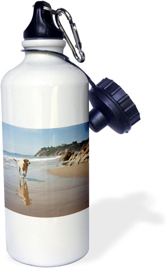 3dRose "A Yellow Labrador Retriever dog-US05 ZMU0364-Zandria Muench Beraldo" Sports Water Bottle, 21 oz, White
