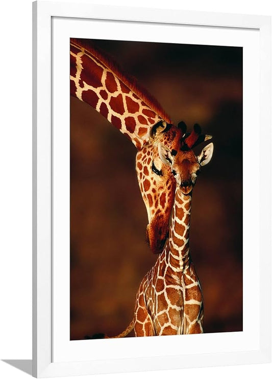 Framed Wall Art Prints Giraffe and Baby by Lantern Press, Animals Decor, 24" x 36", White Frame with White Mat