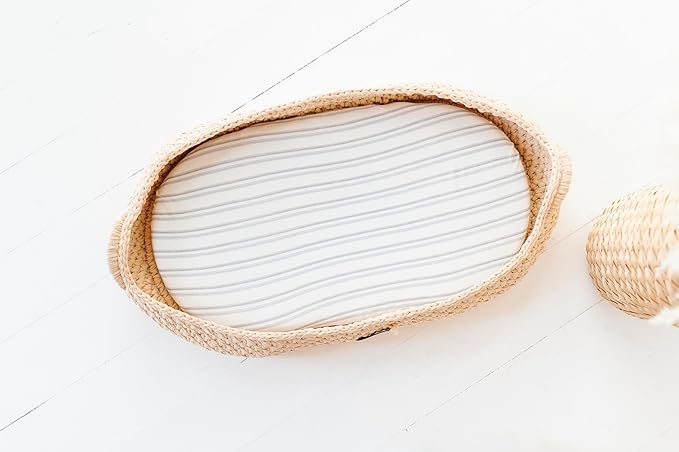 Ely's & Co. Fitted Bassinet Sheet 100% Jersey Cotton 2 Pack for Baby Boy Blue Dragonflies + Stripes