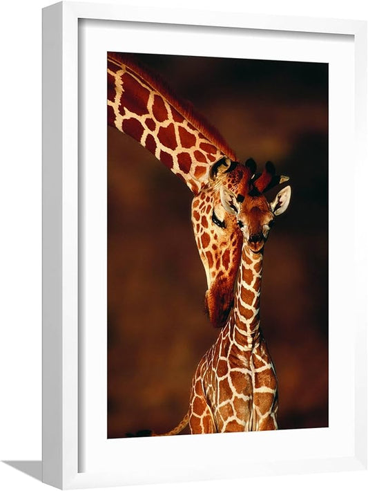 Framed Wall Art Prints Giraffe and Baby by Lantern Press, Animals Decor, 12" x 18", White Frame with White Mat