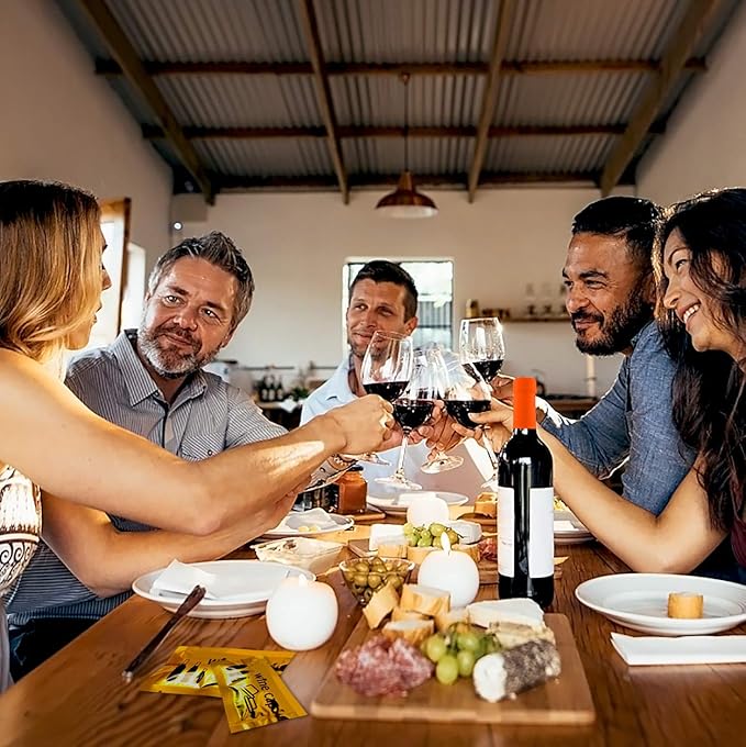 Wine Stopper - Wine Bottle Cap Reusable Wine and Beverage Bottle Stopper for Wine Lover - Novelty Wine Gift Set for Christmas Housewarming Adult Party (8 Pcs/Set)