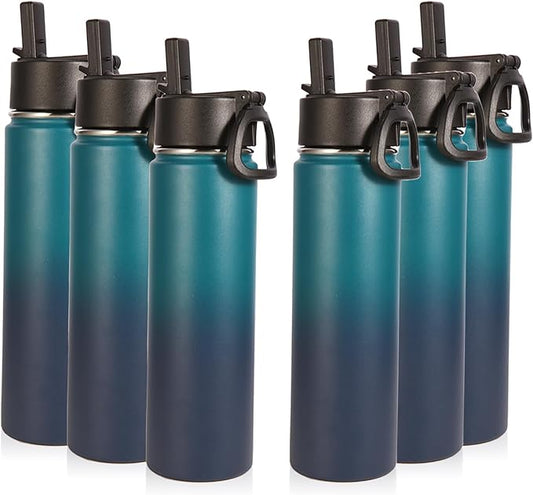 Volhoply 24oz Insulated Water Bottle With Straw Bulk 6 Pack,Metal Wide Mouth Water Bottles With Handle Keep Cold,Reusable Double Wall Thermos,Powder Coated Sport Bottle For Holder(Dark Night,6 Count)