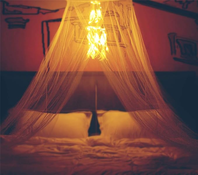 Bed Canopy with Double Circle White Feather Dream Catcher and 50 LED Fairy String Lights, Mosquito Net - Unique Style Dome Bed Netting Canopy Curtains Canopy - Suggested for Twin Full Queen King Bed