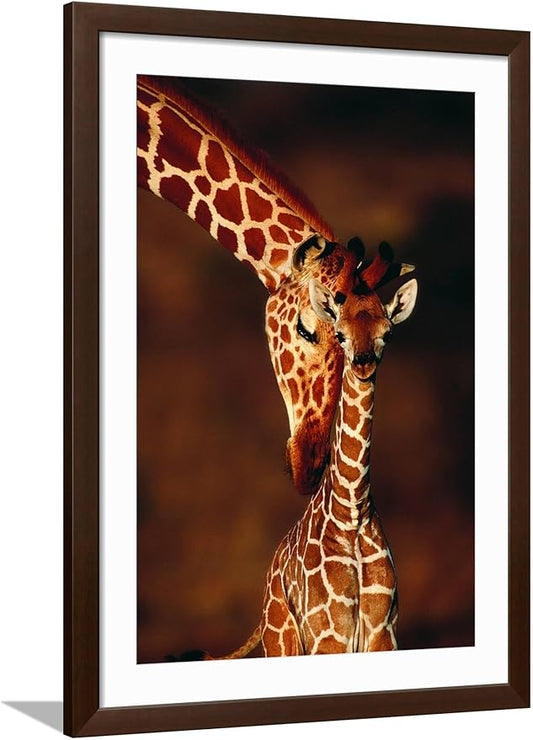 Framed Wall Art Prints Giraffe and Baby by Lantern Press, Animals Decor, 24" x 36", Espresso Frame with White Mat
