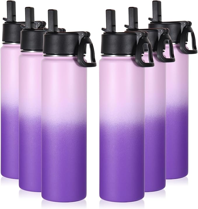 Volhoply 24oz Insulated Water Bottle With Straw Bulk 6 Pack,Metal Wide Mouth Water Bottles With Handle Keep Cold,Reusable Double Wall Thermos,Powder Coated Sport Bottle For Holder(Lavender,6 Count)