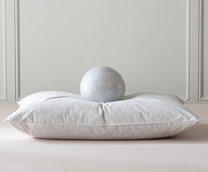 Luxury Goose Feathers Down Pillow Queen Size, Hotel Quality Fluffy Bed Pillow, Soft Pillow for Sleeping, Organic Cotton Cover(20x28”, Pack of 1)