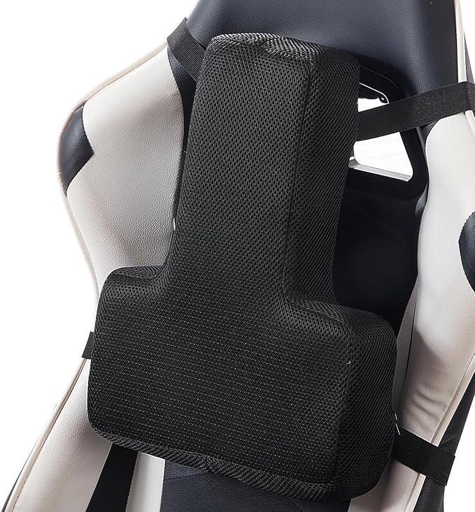 HOMBYS Lumbar Support Pillow for Office Chair-Seat Cushion for Back Support, Improved Sitting Posture and Upper/Lower Back Pain Relief for Desk Chairs, Car Seats and Airplanes (Black, 16"x12"x2")