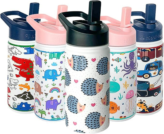 Biddlebee Kids Water Bottle with Straw Lid | 14oz Insulated Stainless Steel Reusable Bottles for School | Leak Proof Cap with Handle & Touch Free Spout | Great for Boys & Girls