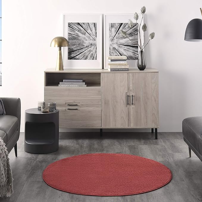 Nourison Essentials Indoor/Outdoor Brick Red 4' x Round Area Rug, Easy Cleaning, Non Shedding, Bed Room, Living Room, Dining Room, Backyard, Deck, Patio (4 Round)