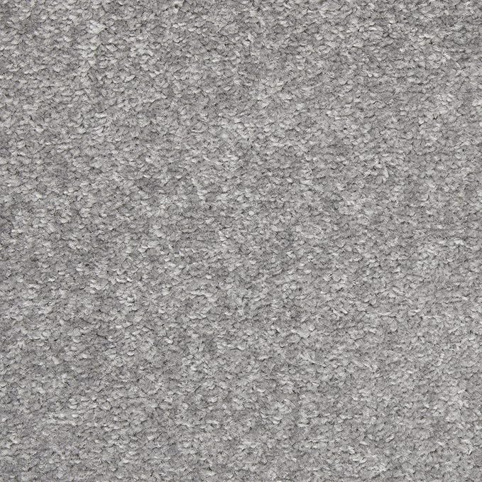 Nourison Essentials Indoor/Outdoor Silver Grey 10' x 14' Area Rug, Easy Cleaning, Non Shedding, Bed Room, Living Room, Dining Room, Backyard, Deck, Patio (10x14)
