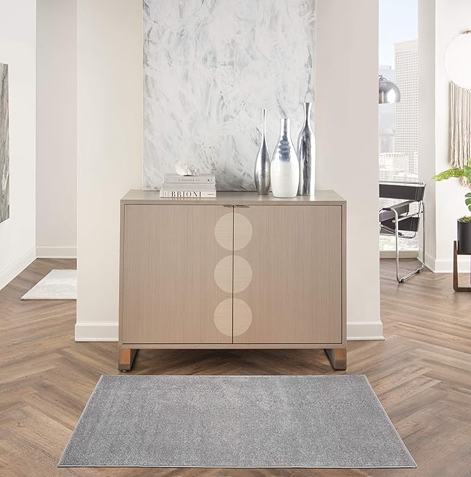 Nourison Essentials Indoor/Outdoor Silver Grey 3' x 5' Area Rug, Easy Cleaning, Non Shedding, Bed Room, Living Room, Dining Room, Backyard, Deck, Patio (3x5)