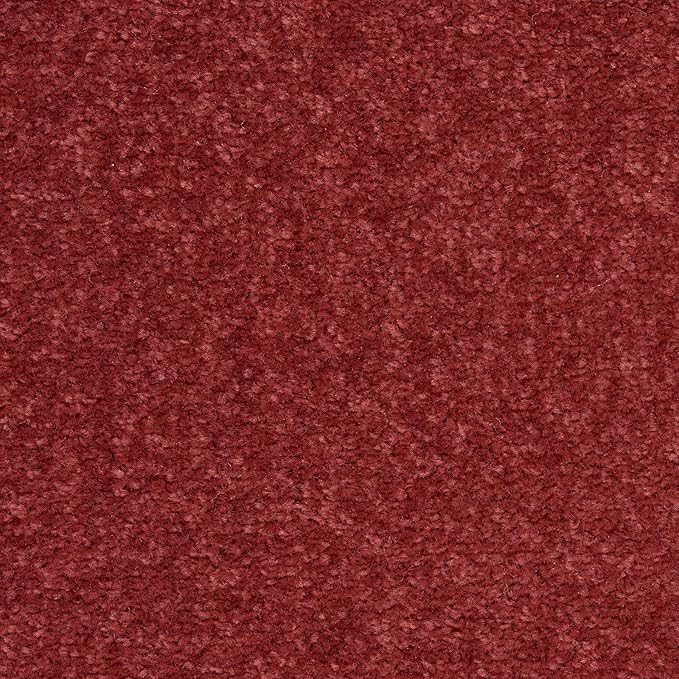 Nourison Essentials Indoor/Outdoor Brick Red 9' x 12' Area Rug, Easy Cleaning, Non Shedding, Bed Room, Living Room, Dining Room, Backyard, Deck, Patio (9x12)