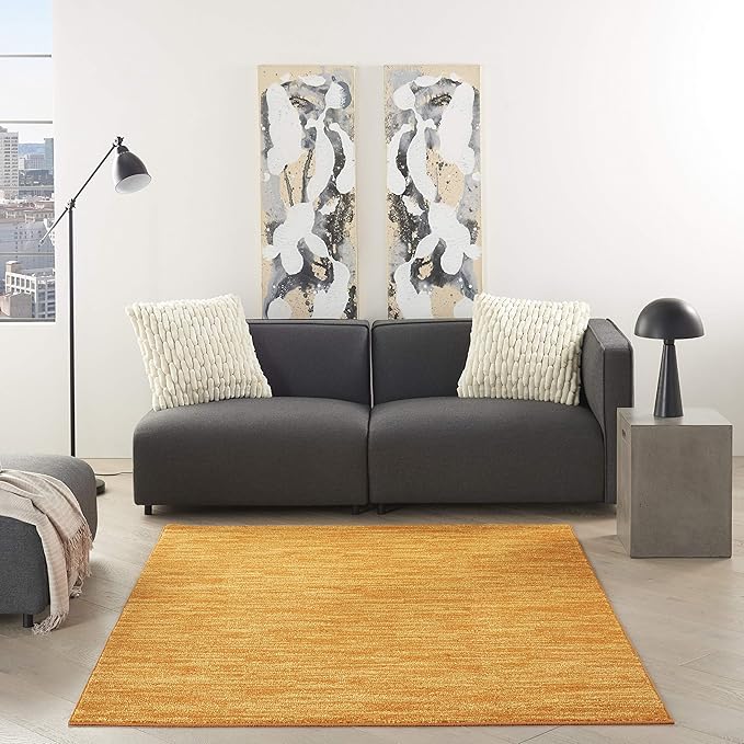 Nourison Essentials Indoor/Outdoor Sunburst 6' x 9' Area Rug, Easy Cleaning, Non Shedding, Bed Room, Living Room, Dining Room, Backyard, Deck, Patio (6x9)